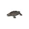 Homeroots 7in Black Turtle Cast Iron Vanity Tray 483157 - alternate 6