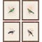 Homeroots Set Of Four On Perch II Gold Framed Print Wall Art, 4PK 526914 - alternate 1