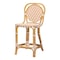 Bali & Pari Mattie Natural Rattan Bistro Counter Stool, Beige 269-14770-ZORO - alternate 1