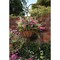 Best Garden 14'' Steel Rod Black Powder Coat Hanging Plant Basket HB1326-14 - alternate 1