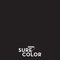 Rust-Oleum Sure Color Flat Black Water-Based Paint + Primer Interior 1 gal 380216 - alternate 5