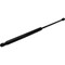 Cnh SPRING, CNH OEM 21.24494 21.24494 - alternate 4