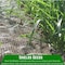 Farm Plastic Supply Straw Erosion Control Blanket Pallet, 8' x 112.5', Erosion Control Blanket Z-SB-PalletQ-4001 - alternate 3