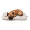 Slumber Pet Dog Mat, 17-3/4 in L, 11-3/4 in W, Acrylic/Polyester Sherpa Cover, Natural ZA427 17 55 - alternate 3