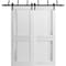 Sartodoors Sliding Closet Barn Bypass Doors 60 x 96in, White Silk W/ Frosted Glass, Sturdy 6.6ft Rails VEREGIO7288BBB-WS-6096 - alternate 4