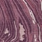 Homeroots 10' X 14' Burgundy Brick Red And Ivory Abstract Washable Indoor Outdoor Area Rug 601265 - alternate 5