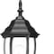 Homeroots Matte Black Globe Lantern Wall Light 398564 - alternate 4