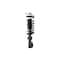 Fcs Struts Suspension Strut And Coil Spring Assembly 1333298 - alternate 2