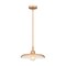Z-Lite Camden Rubbed Brass 1 Light Pendant 2308P14-RB - alternate 4