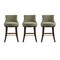 Manhattan Comfort Lucia Counter Stool in Leaf Green, 3PK 3-CS022-GR - alternate 3