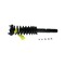 Kyb Complete Corner Unit Assembly -Strut, Mount and Spring,  SR4136 - alternate 2