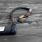 Tremmor Tool Lanyard 35-51in, 15 lb Capacity, Dual Action Carabiner TR0150 - alternate 3