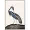 Homeroots Great Heron II Canvas Silver Floater Frame Print Wall Art 474077 - alternate 1