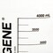 Nalgene Beaker, Plastic, Colorless, PK4 1203-4000 - alternate 2