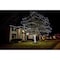 Celebrations LED Grand Mini Pure White 50 ct String Christmas Lights 25 ft. 11-01157A - alternate 3