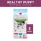 Purina One Purina SmartBlend 57011 Dog Food, Dry, Chicken Flavor, 8 lb 17383 - alternate 2