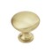 Amerock Edona 1-1/4 in 32 mm Diameter Golden Champagne Cabinet Knob, 10PK 10BX53005BBZ - alternate 1