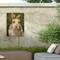 Trademark Fine Art Outdoor Canvas Art - Andrea Lavery 'Happy Day' Wall Art for Patios, or Gardens GRL01303-OC1419WR - alternate 5