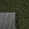 Msi Viridian Green 4'' x 4'' Artificial Grass Full Turf Roll ZOR-TRF-0005-SAM - alternate 4