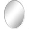 Fab Glass And Mirror Medium Oval Hooks Mirror (39in. H x 22in. W), Tempered, Glass, Wall Mirror, Safety Backing 799456351803 - alternate 4