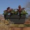 Bloem Deck Rail Planter Finley 9.5in H X 11.74in W X 24in D Plastic Black Black FDR2400 - alternate 5