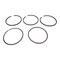 Agco RING, AGCO OEM 20V7100724 20V7100724 - alternate 1