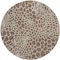 Homeroots 8' Brown And Beige Round Geometric Washable Indoor Outdoor Area Rug 595063 - alternate 4