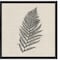 Homeroots Set Of Two Modern Ferns II Brown Framed Print Wall Art, 2PK 416365 - alternate 2