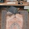 World Rug Gallery Rust Medallion Washable Rug - Flat Pile Vintage Design, Easy Care for High-Traffic Areas 4 ftx6 ft WR170RUST4X6 - alternate 1