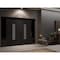 Vdomdoors Front Exterior Prehung Aluminum Double Doors Ronex1477 Black Enamel 2 Sidelights Mirrored Clear RONEX1477DEXD-BLK-W14+72+14xH80-RH-O - alternate 3