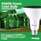 Bulbrite 90-W Equivalent, Green Color PAR38 Weatherproof Outdoor E26 Medium Base Flood LED Light Bulb COLOR 861909 - alternate 4