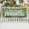 Signmission Farm Fresh Zucchini, 18 Inch x 48 Inch, Vinyl Banner B-30622 - alternate 4