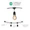 Bulbrite 48-foot String Light Kit with Nostalgic Loop Filament A19 Incandescent Light Bulbs 2200K 810004 - alternate 3