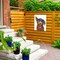 Trademark Fine Art Outdoor Canvas Art - Karrie Evenson 'Puppy Love' Wall Art for Patios, or Gardens GRL01918-OC1419WR - alternate 3