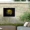 Trademark Fine Art Outdoor Canvas Art Brian Carson 'Backyard Flowers 67' Wall Art for Patios, or Gardens BRC00066-OC2432WR - alternate 2