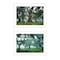 Homeroots Set Of Two Enchanted Forest 1 White Framed Print Wall Art, 2PK 408031 - alternate 1
