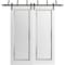 Sartodoors Sliding Closet Barn Bypass Doors 48 x 96in, Painted White W/ Frosted Glass, Sturdy 6.6ft Rails PLANUM0888BBB-BEM-4896 - alternate 6