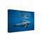 Trademark Fine Art Outdoor Canvas Art Barathieu Gabriel 'Pod Of Dolphin' Wall Art for Patios, or Gardens 1X11060-OC1624WR - alternate 1