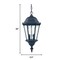 Homeroots Two Light Matte Black Carousel Lantern Hanging Light 398012 - alternate 3