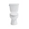 Craft And Main Elongated Toilet, Easley Flush Guard, 2Pcs TL-5800AF-EW - alternate 2