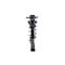 Fcs Struts Suspension Strut And Coil Spring Assembly 1345820R - alternate 3