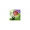 Bonide Products 10 Lb. Ready To Use Granules Ant, Flea & Tick Killer 60613 - alternate 5