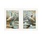 Homeroots Set Of Two Marsh Herons I and Sea II White Framed Print Wall Art, 2PK 408046 - alternate 1