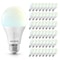 Luxrite A19 LED Light Bulb 100 Watt Equivalent, CRI90, 5CCT Selectable 2700K 3000K 3500K 4000K, 48PK LR21480 - alternate 1