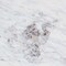Baxton Studio Akanji Marble Coffee Table, Square 270-14711-ZORO - alternate 3