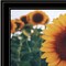 Homeroots Midwest Livin II 4 Black Framed Print Wall Art 407618 - alternate 5