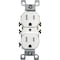 Leviton 15A White Tamper & Weather Resistant Residential Grade 5-15R Duplex Outlet R62-W5320-T0W - alternate 2