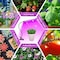 Ipower LED Grow Light Strips Full Spectrum for Indoor Plants with Auto ON/Off 3/9/12H Timer, 10 Dim GLLEDXGOOSE5T - alternate 5