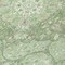 Homeroots 8' Artichoke Green And Ivory Round Medallion Washable Indoor Outdoor Area Rug 617451 - alternate 6