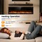 Edendirect 42 in. Insert-Type Electric Fireplace in Black, with Remote, 8H Timer, 5-Speed Flames ZR-WT-F42 - alternate 5
